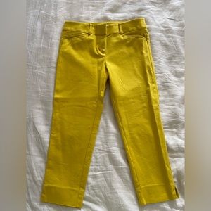 LOFT Yellow Trouser Pants